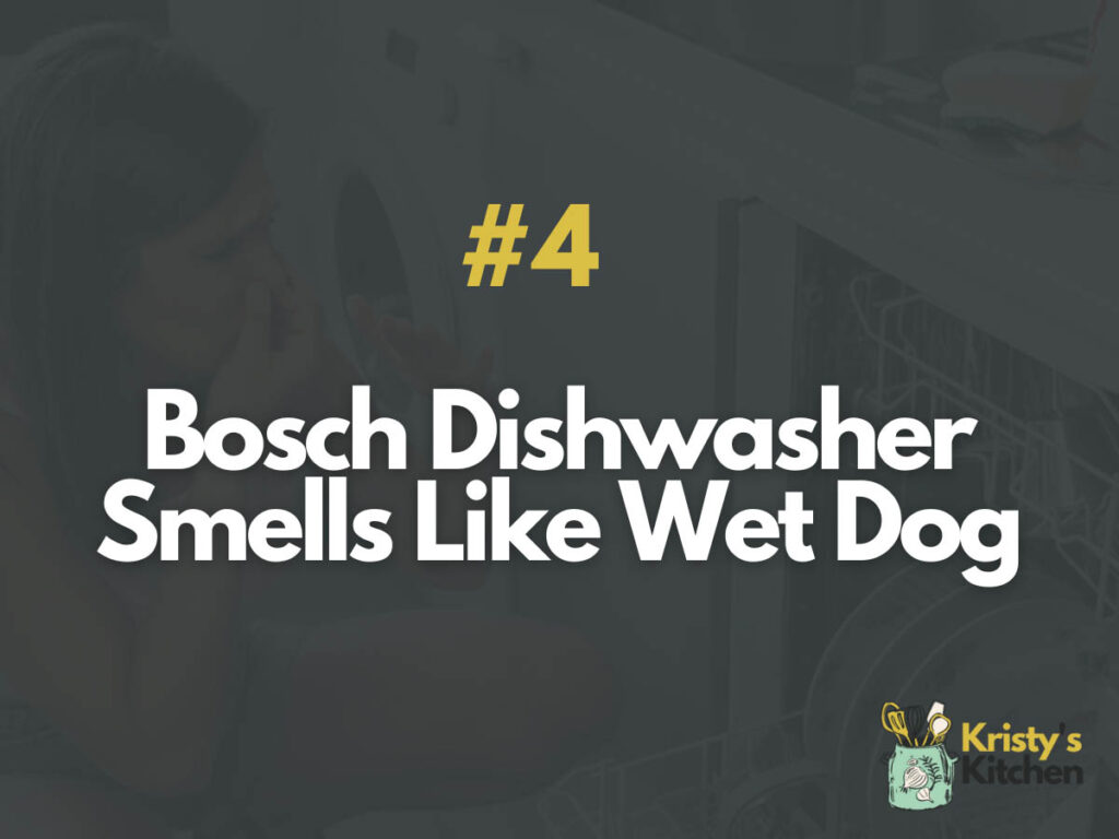 Why Does My Bosch Dishwasher Smell 