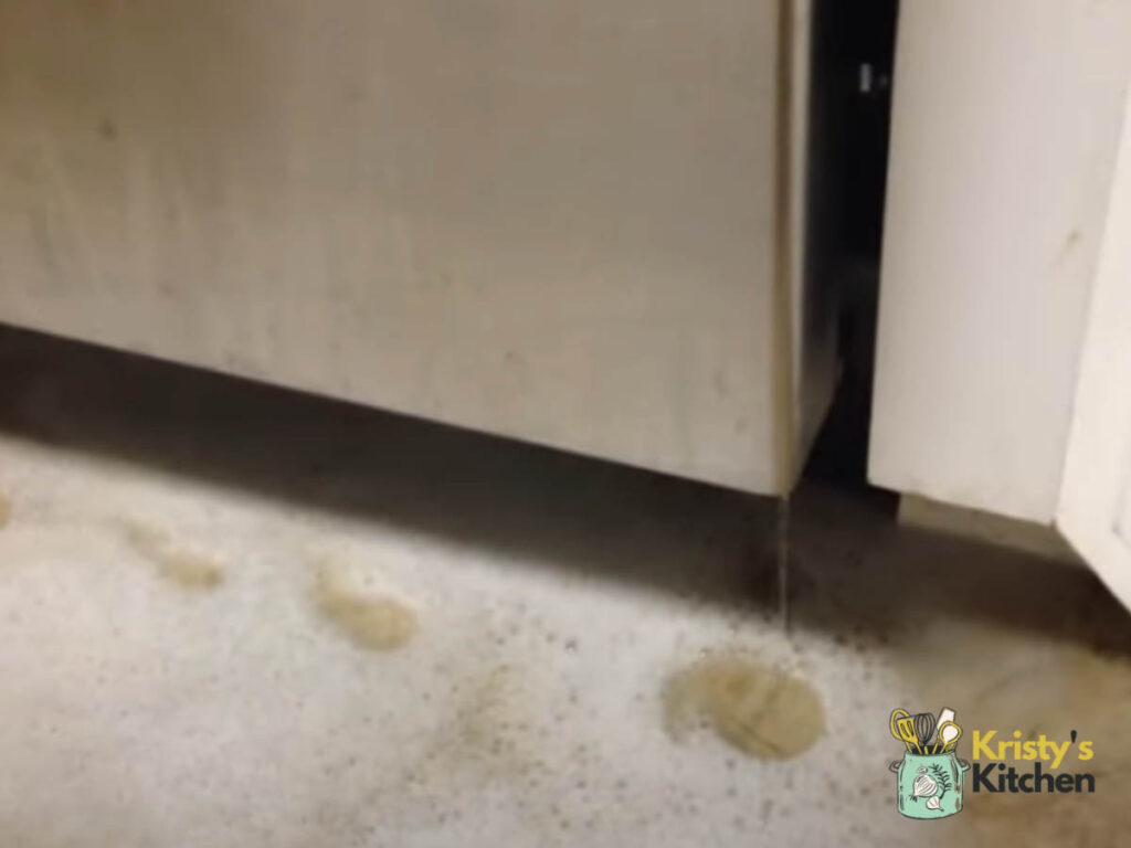 Why Is My Bosch Dishwasher Leaking