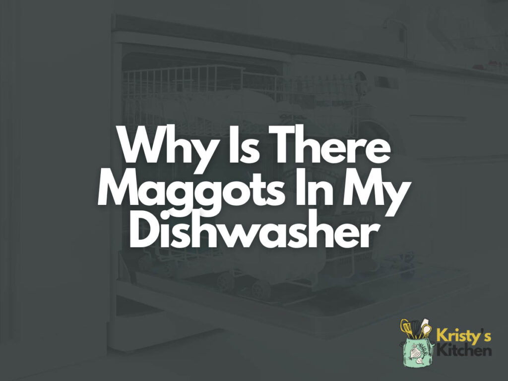Why Is There Maggots In My Dishwasher
